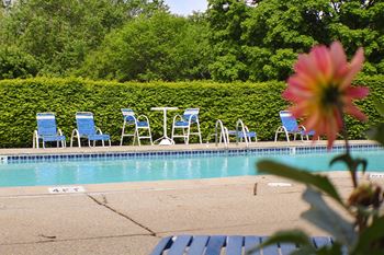 Sparkling swimming pool